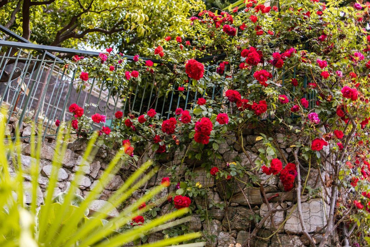 Ascheri Country House - Grimaldi, Ventimiglia Zewnętrze zdjęcie